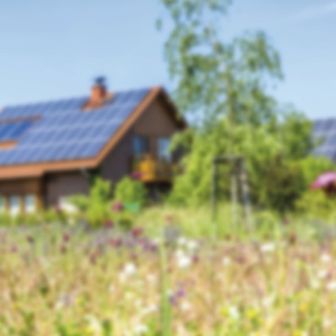 Photovoltaik bei Elektro Klippel in Aue