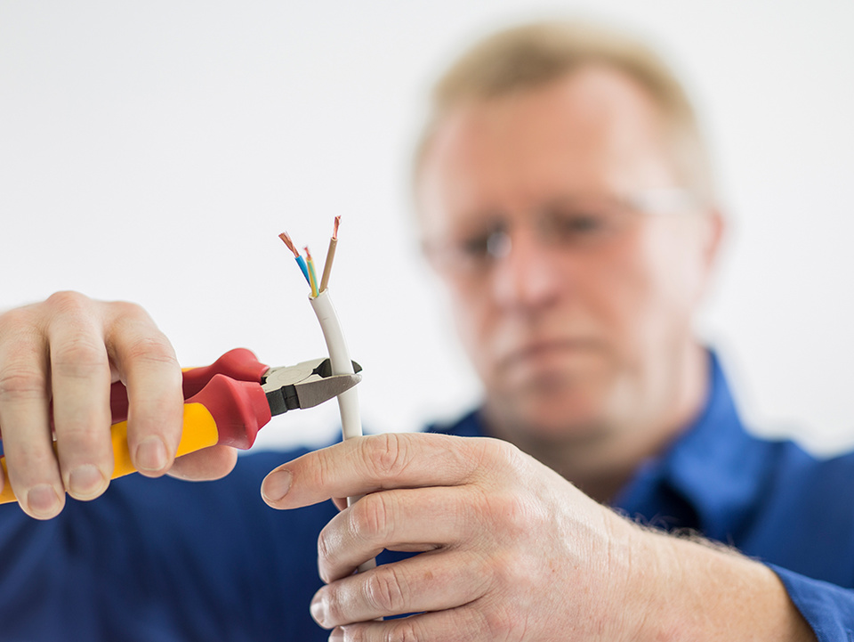 C F021729 bei Elektro Klippel in Aue